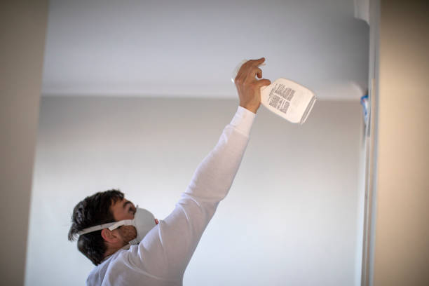 Mold Removal and Inspection in Maple Park, IL