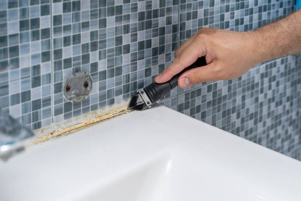 Best Mold Removal Company Near Me  in Maple Park, IL